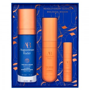 Augustinus Bader The Renewal Essentials