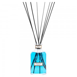 Bois 1920 Salsedine Diffuser