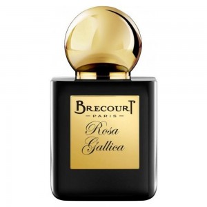Brecourt Rosa Gallica