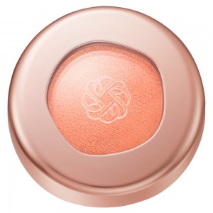 Decorte Eye Glow Gem Skin Shadow Silky Matte