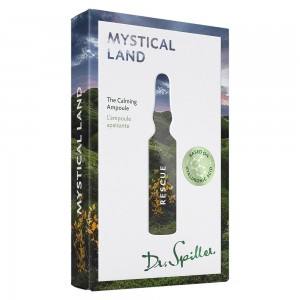 Dr. Spiller Rescue Mystical Land