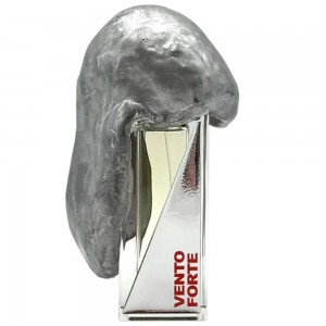 Filippo Sorcinelli Vento Forte