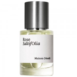 Maison Crivelli Rose Saltifolia