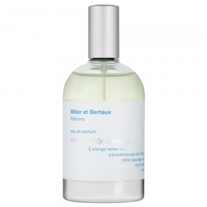 Miller et Bertaux New Study / Postcard