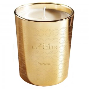 Paul Emilien Bougie Sous la Treille