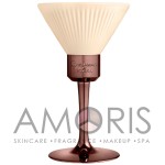 Парфюмированная вода EDP