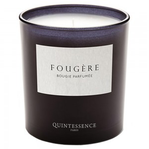 Quintessence Fougere